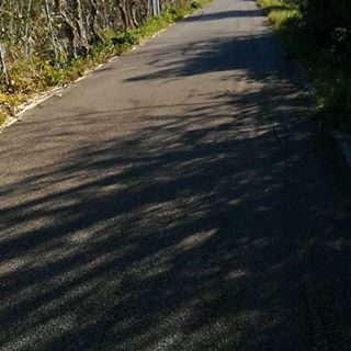 Riscoprire le regole del Buonsenso.
Siamo in emergenza!!
Dobbiamo evitare i contatti sociali.
Ma questo non vuol dire che dobbiamo smettere di allenarci.
Dobbiamo fare sport che non ci procurino infortuni...gli ospedali hanno altro da fare.
E soprattutto non dobbiamo farlo con i amici, o con gli allievi e gli istruttori devono trasmettere la disciplina e la correttezza!!
Per ora non si corre o si cammina in gruppi.
Ma si può, lo dice il decreto fare sport all'aria aperta. Rispettando tutte le norme di sicurezza.
Quindi uscite a camminare, da soli o con le persone che vivono con voi.
Una passeggiata in solitaria aiuta a togliere ansia e stress.❤️ #iocamminosola
#andràtuttobene